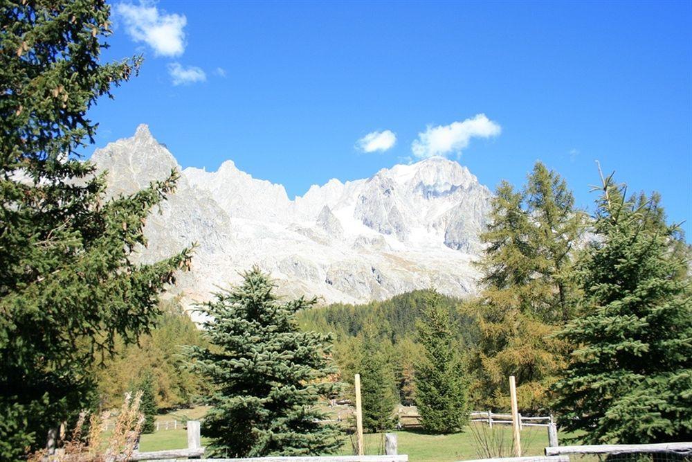 Hotel Locanda Belvedere Courmayeur Exterior foto